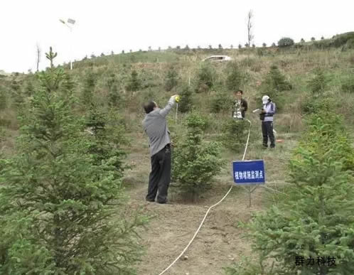 1554196138110096.jpg 1.jpg