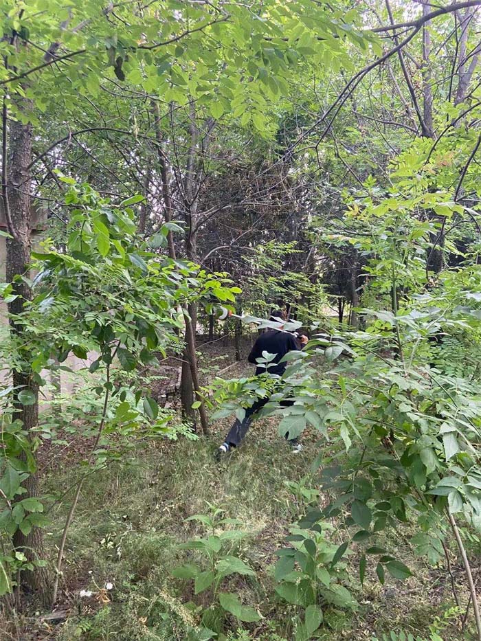 1657854567703698.jpg 19.jpg