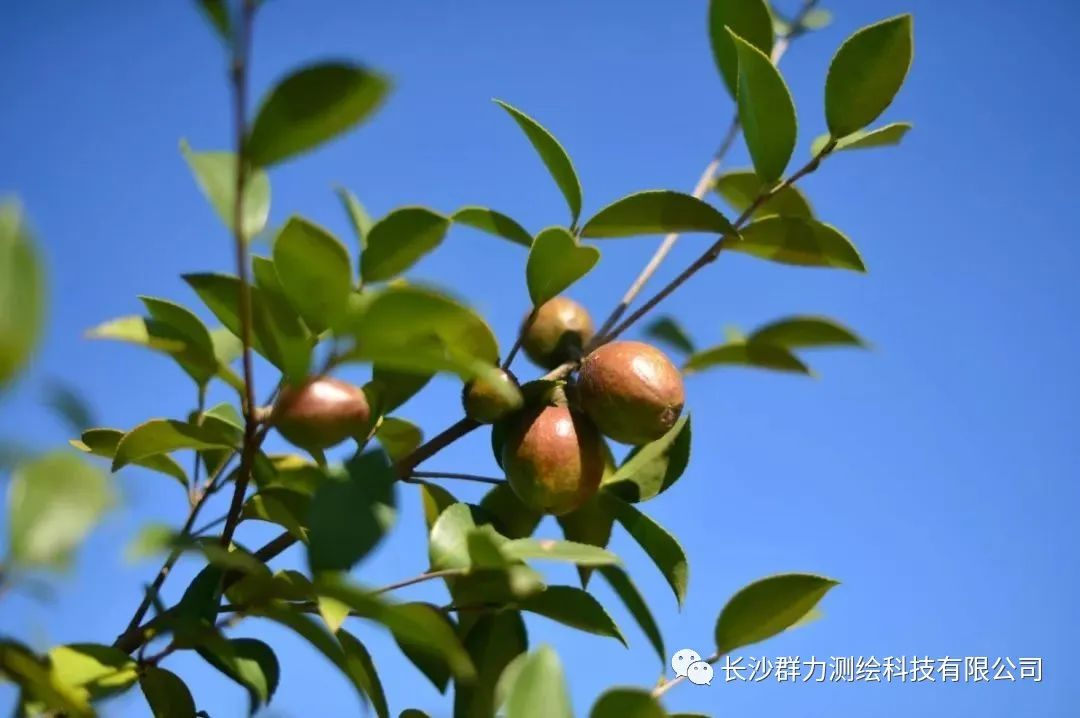 1700441148577357.png 1700441148577357.png