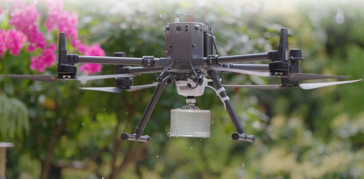 1768384399905905.png image.png